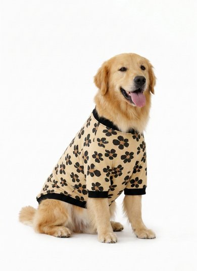 Blusão pet em cotton com estampa divertida Multicolor